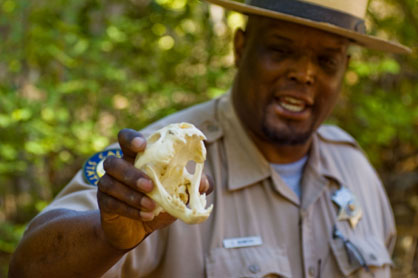Ranger holding animal skull